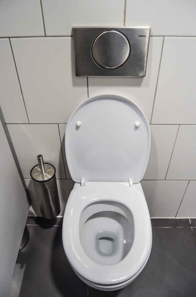 Magic Flow Plumbing Toilet